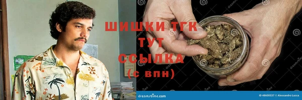 твердый Арсеньев