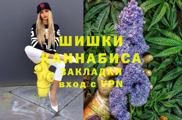 твердый Арсеньев