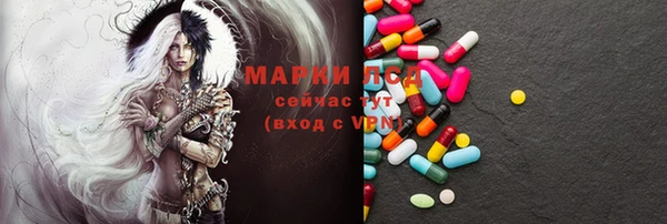 твердый Арсеньев