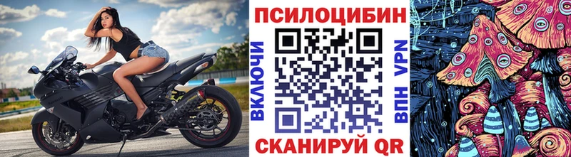 Галлюциногенные грибы мухоморы магазин продажи наркотиков Гурьевск