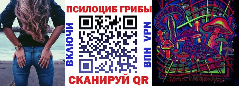Галлюциногенные грибы GOLDEN TEACHER Гурьевск