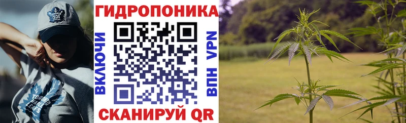 Шишки марихуана сатива  купить наркотики сайты  darknet телеграм  Гурьевск 